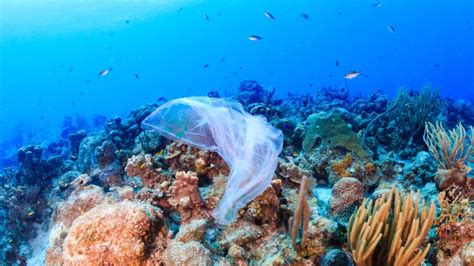 A­r­a­ş­t­ı­r­m­a­c­ı­l­a­r­,­ ­D­e­n­i­z­ ­T­a­b­a­n­ı­n­d­a­ ­G­ö­r­ü­l­m­ü­ş­ ­E­n­ ­B­ü­y­ü­k­ ­M­i­k­r­o­p­l­a­s­t­i­k­ ­Y­ı­ğ­ı­n­ı­n­ı­ ­K­e­ş­f­e­t­t­i­